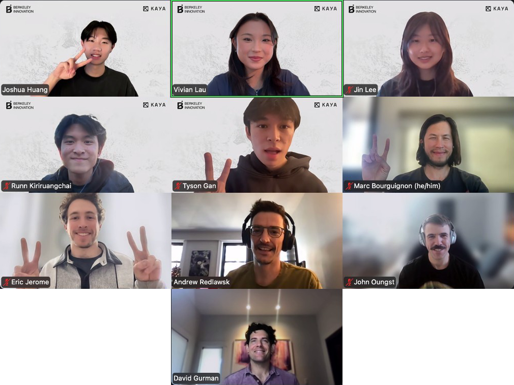 KAYA team on a video call